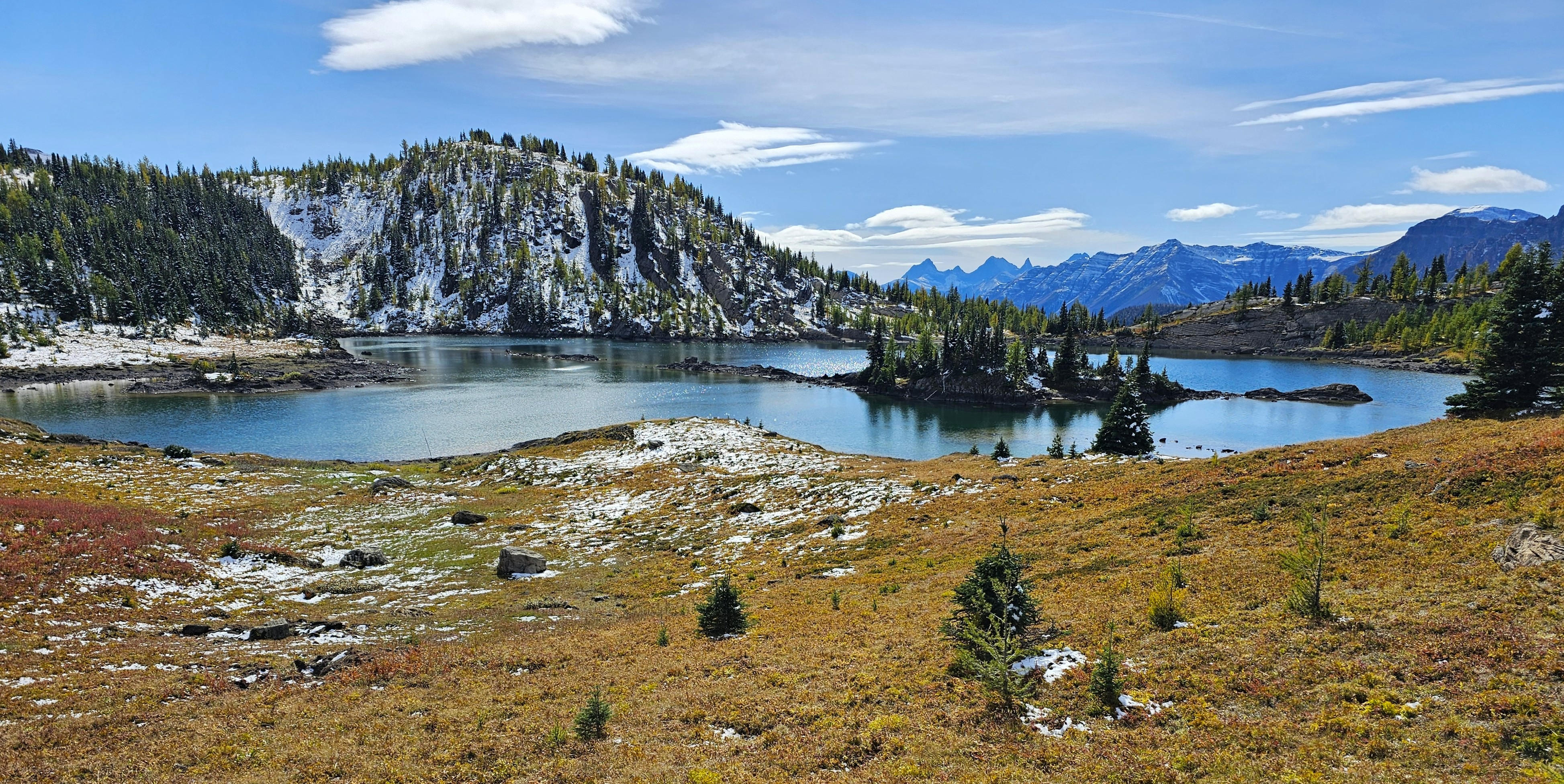 Sunshine Meadows